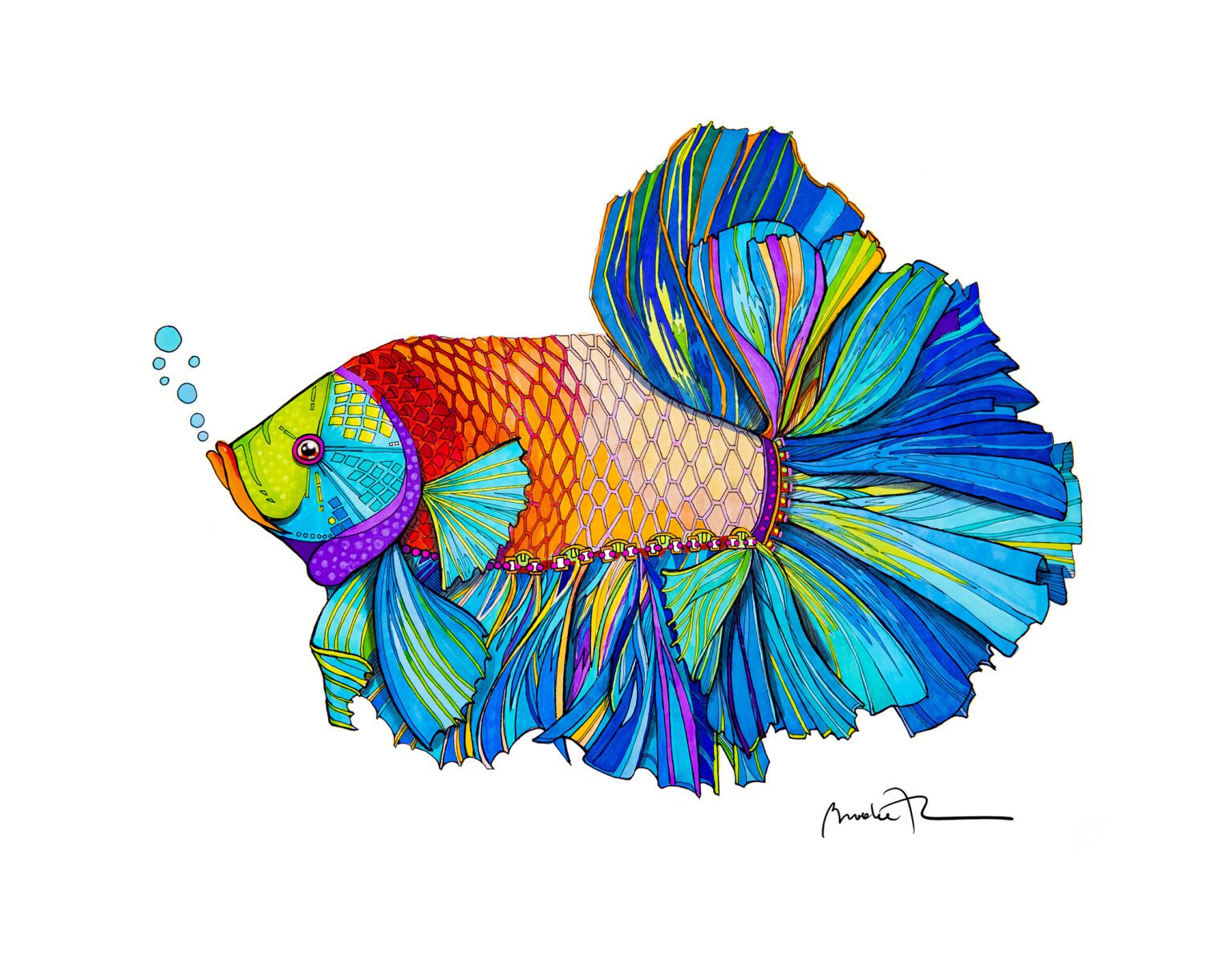 Betta Fish – Brooke Connor Design