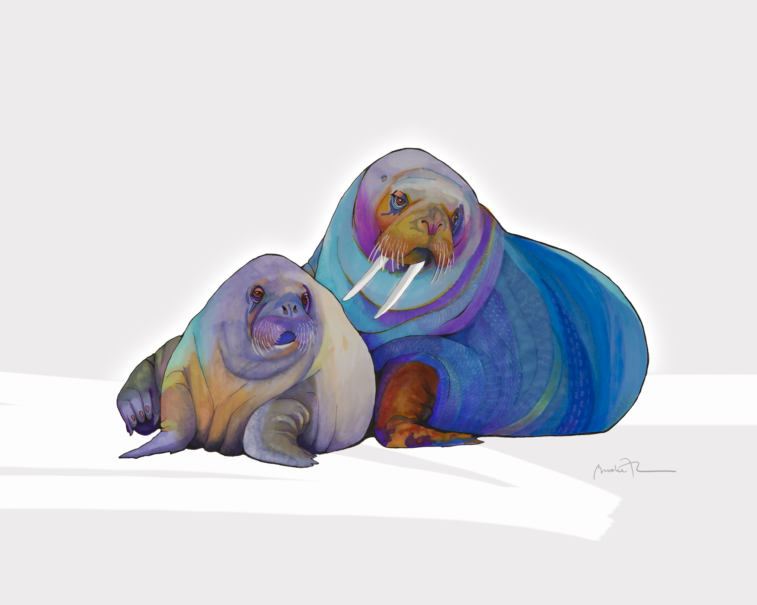 Walruses