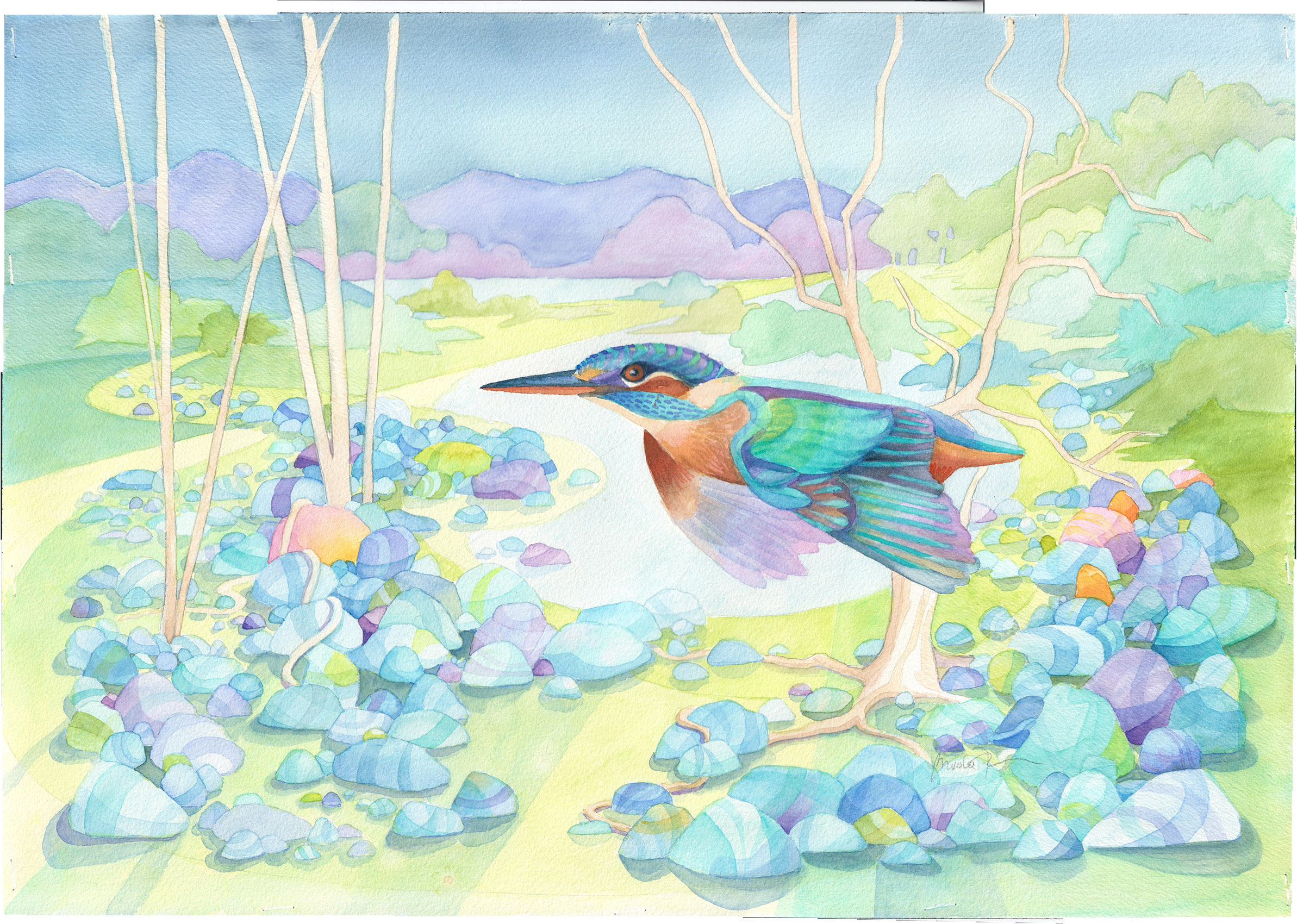 Kingfisher With Zoomies